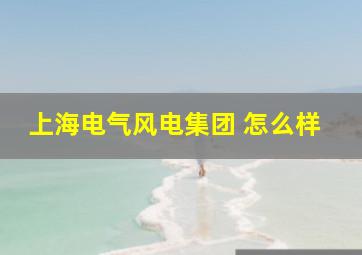 上海电气风电集团 怎么样